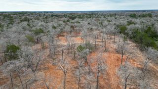 1559 FM 535 Highway, Smithville, TX 78957