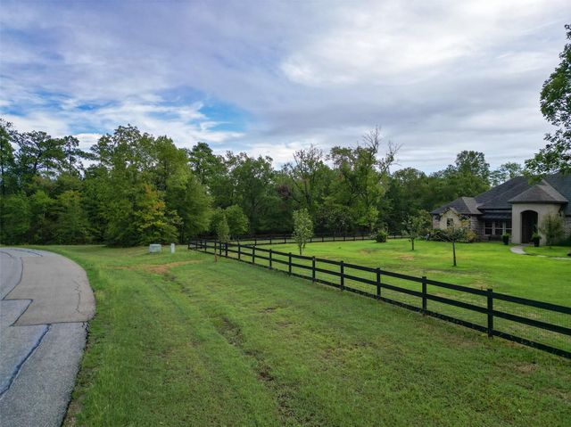 1572 Emerald Lakes Drive, Willis, TX 77378