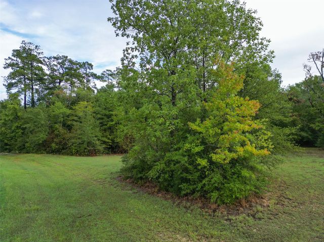 1572 Emerald Lakes Drive, Willis, TX 77378