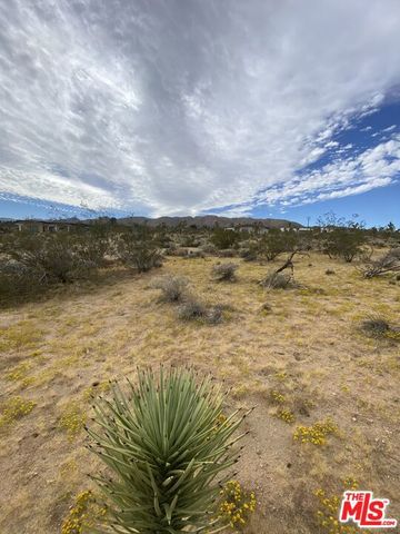 0 Saddleback Road, Joshua Tree, CA 92252