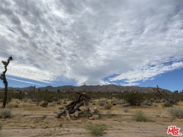 0 Saddleback Road, Joshua Tree, CA 92252