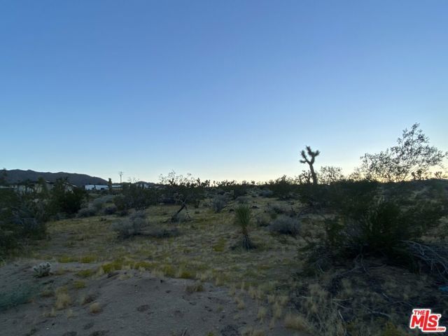 0 Saddleback Road, Joshua Tree, CA 92252