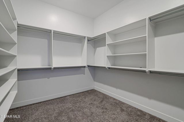 12245 Biddleston Drive Drive, El Paso, TX 79928