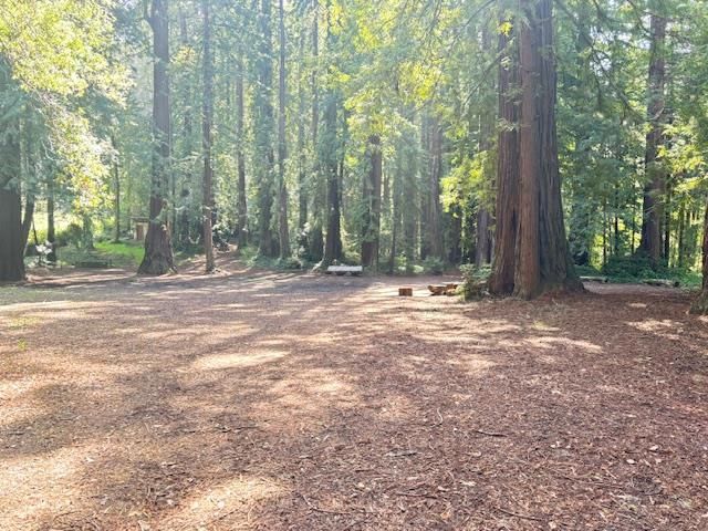 50 Escondido Place, La Honda, CA 94020