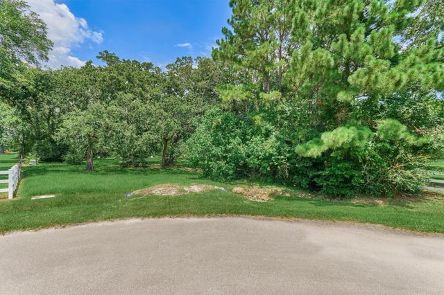 32214 Mink Creek Court, Magnolia, TX 77355