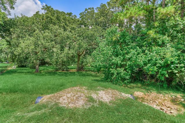 32214 Mink Creek Court, Magnolia, TX 77355