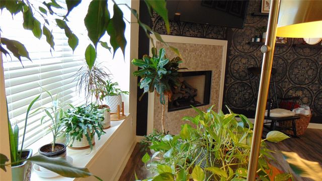 1025 Mohican, Round Rock, TX 78665
