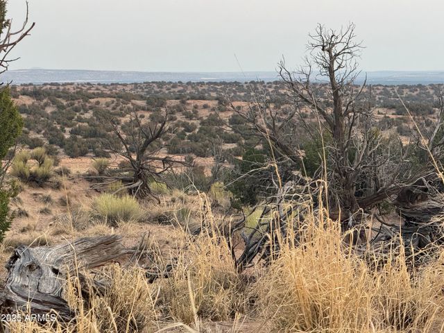 Lot 1041 Woodland Valley Ranch -- 1041, St Johns, AZ 85936