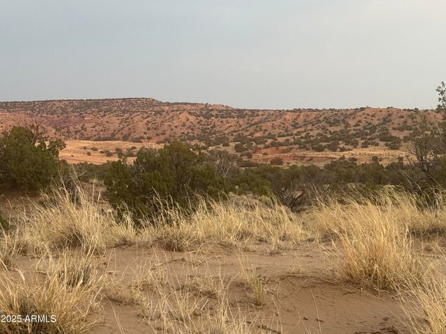 Lot 1041 Woodland Valley Ranch -- 1041, St Johns, AZ 85936