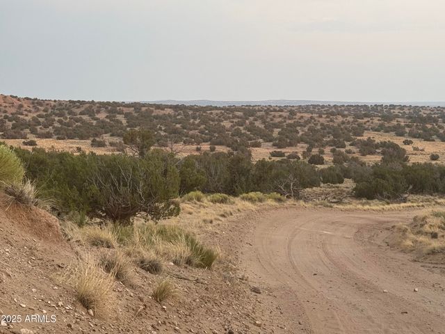 Lot 1041 Woodland Valley Ranch -- 1041, St Johns, AZ 85936