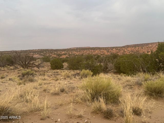 Lot 1041 Woodland Valley Ranch -- 1041, St Johns, AZ 85936