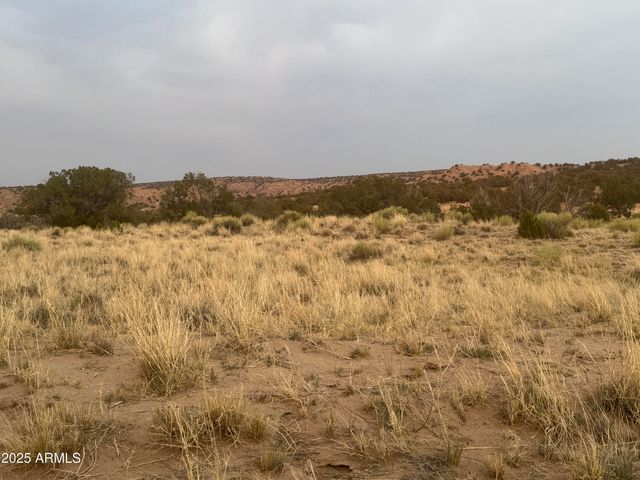 Lot 1041 Woodland Valley Ranch -- 1041, St Johns, AZ 85936