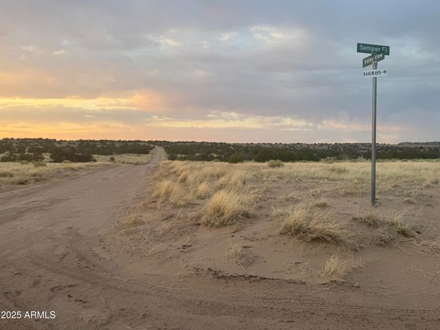 Lot 1041 Woodland Valley Ranch -- 1041, St Johns, AZ 85936