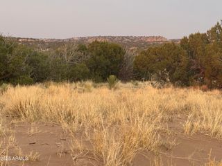 Lot 1041 Woodland Valley Ranch -- 1041, St Johns, AZ 85936