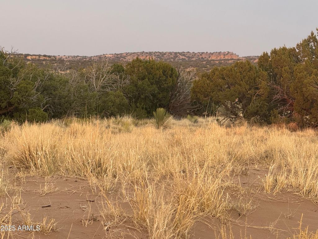 Lot 1041 Woodland Valley Ranch -- 1041, St Johns, AZ 85936