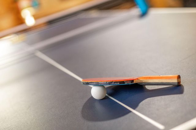 963 Hallie Drive, Blue Eye, MO 65611