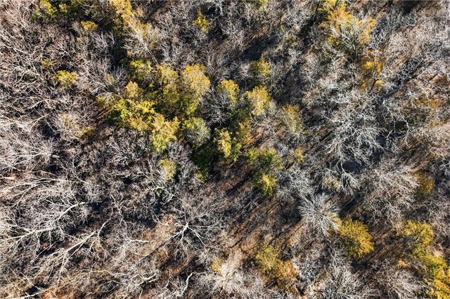 20118 E TRUMAN Road, Independence, MO 64056