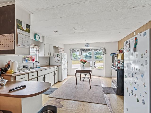 10114 SE 24TH ST, Webster, FL 33597
