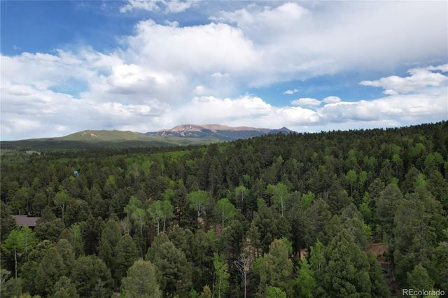 776 Jolly Rogue Drive, Divide, CO 80814