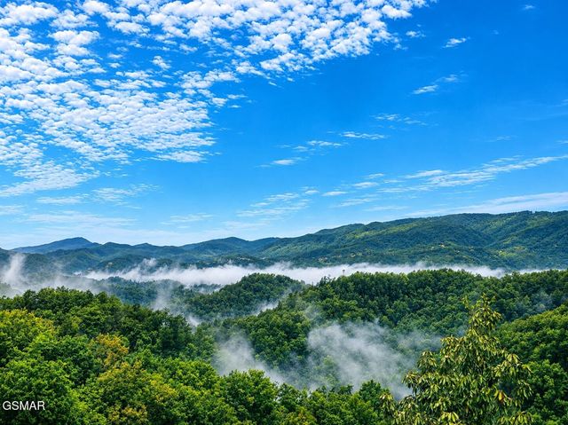 914 Black Bear Cub Way, Sevierville, TN 37862