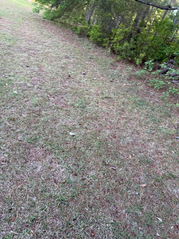 1605 Weldon Ln., Conway, SC 29526 — photo 3