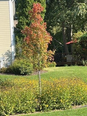 3260 Cherry Hill DRIVE, Brookfield, WI 53005