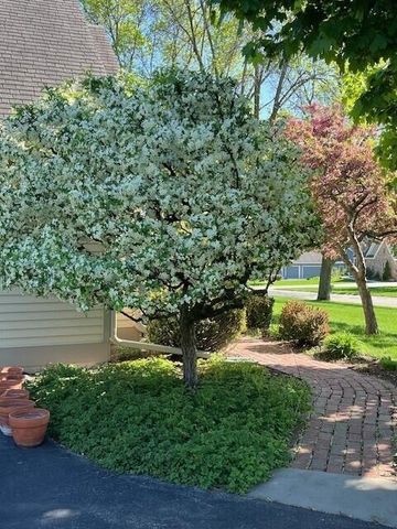 3260 Cherry Hill DRIVE, Brookfield, WI 53005