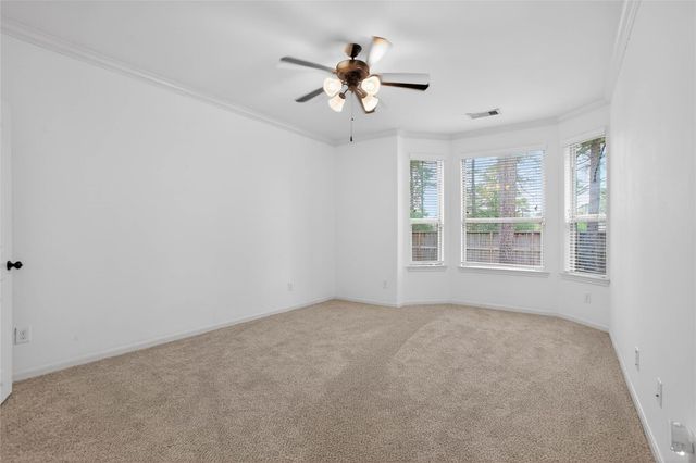 74 N Whistling Swan Place, Spring, TX 77389