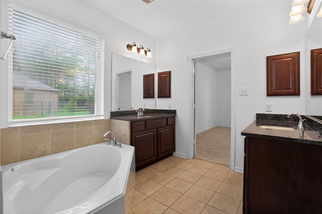 74 N Whistling Swan Place, Spring, TX 77389