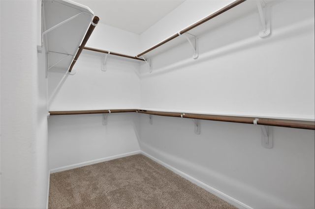 74 N Whistling Swan Place, Spring, TX 77389