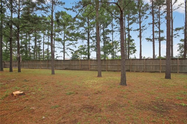 74 N Whistling Swan Place, Spring, TX 77389