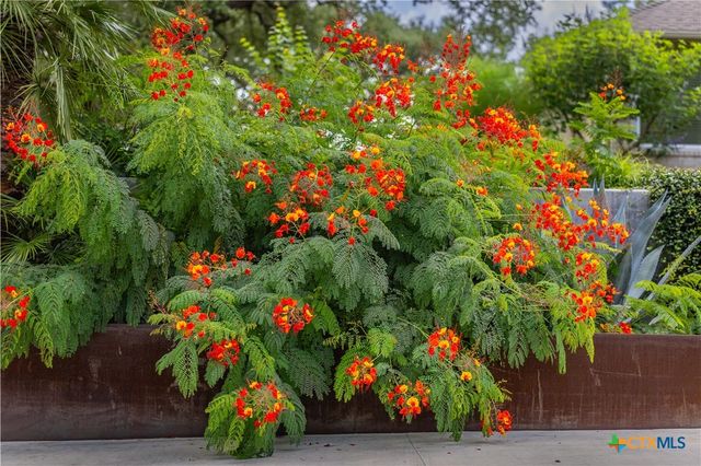 7209 US Highway 87, Cuero, TX 77954