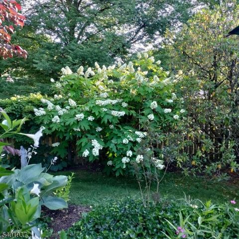 645 Roosevelt St, Westfield Town, NJ 07090