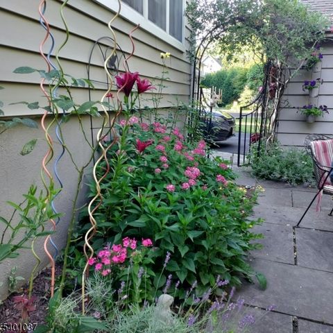 645 Roosevelt St, Westfield Town, NJ 07090