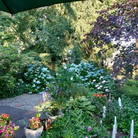 645 Roosevelt St, Westfield Town, NJ 07090