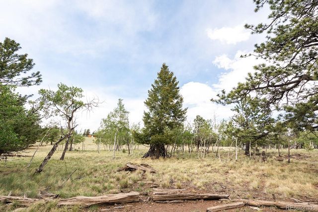 355 Oahu Road, Buena Vista, CO 81211