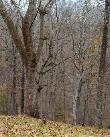 Lot 4 S Old Dutch, Rogers, AR 72756