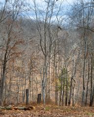 Lot 4 S Old Dutch, Rogers, AR 72756