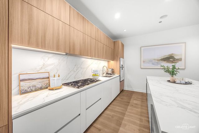 204 N Park Drive, Chicago, IL 60601