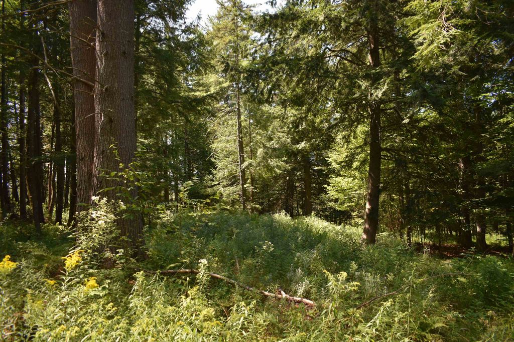 0 Jacobs Road # 3, East Montpelier, VT 05651