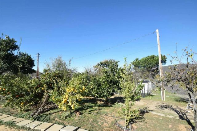 15519 Skyline Truck Trail, Jamul, CA 91935