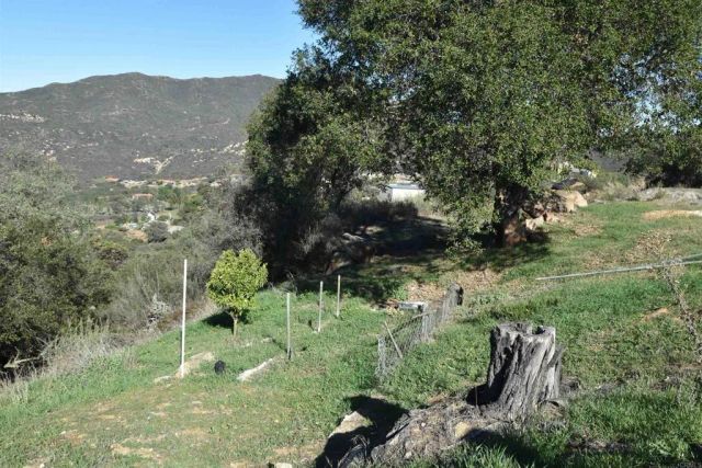 15519 Skyline Truck Trail, Jamul, CA 91935