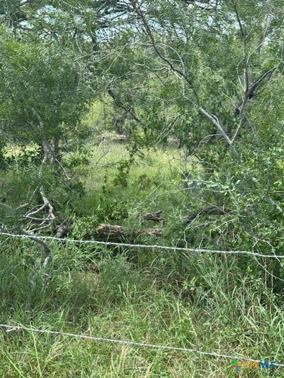TBD Dowdy Road, Kingsbury, TX 78638