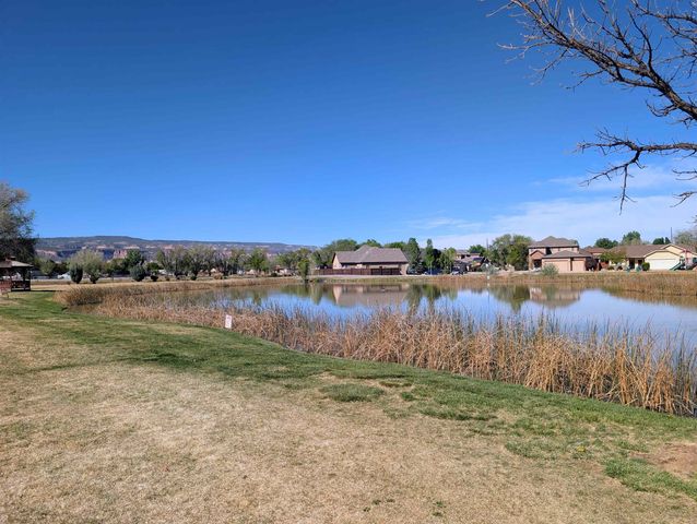 862 Moores Diamond Drive, Fruita, CO 81521