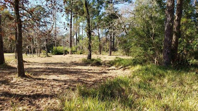 Lots 411 & 412 Big Deer Drive, Crosby, TX 77532