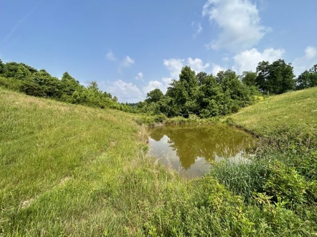 3807 Bear Creek Rd, Thompsons Station, TN 37179