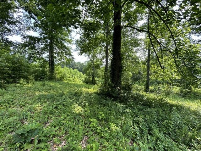 3807 Bear Creek Rd, Thompsons Station, TN 37179