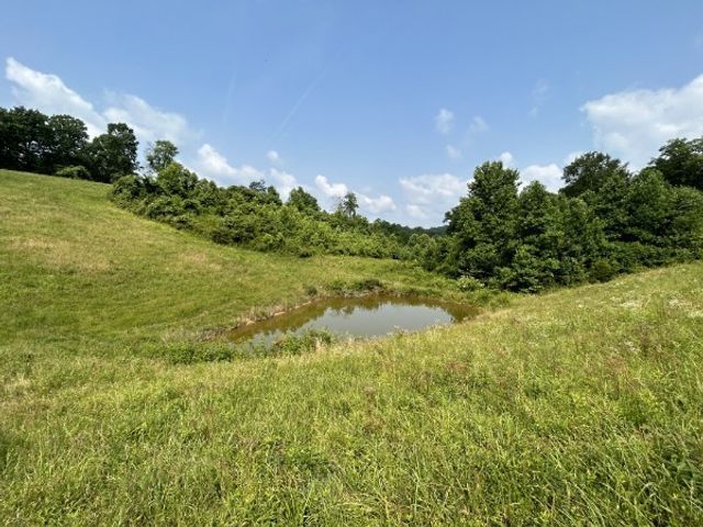 3807 Bear Creek Rd, Thompsons Station, TN 37179