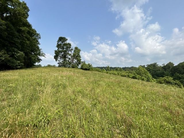 3807 Bear Creek Rd, Thompsons Station, TN 37179