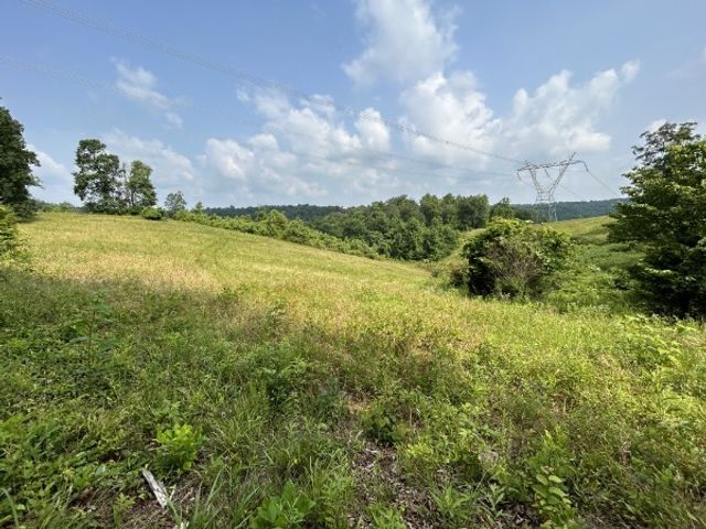 3807 Bear Creek Rd, Thompsons Station, TN 37179